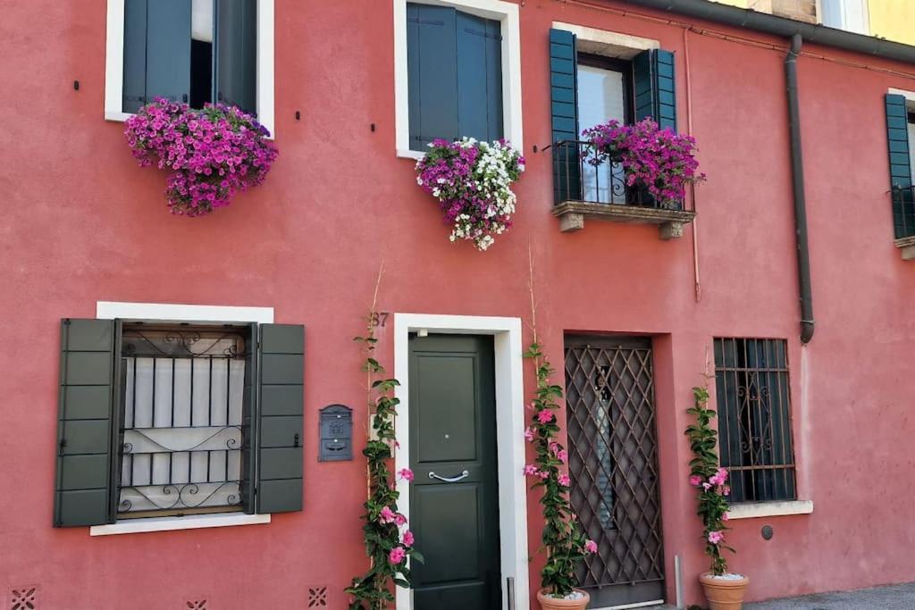 Storico Alloggio Fronte Piazza In Borgo Portello 帕多瓦 外观 照片